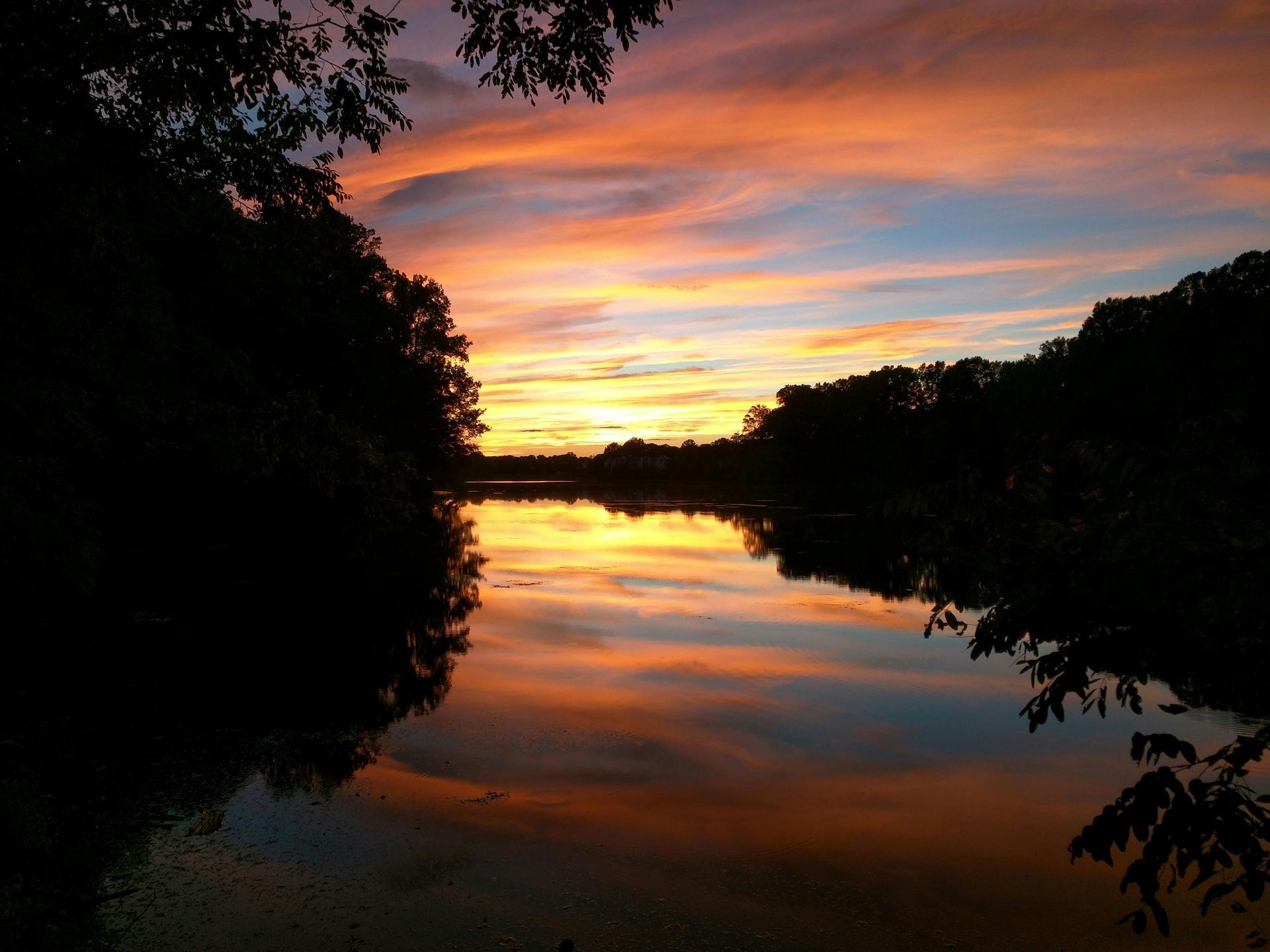 El atardecer se refleja en aguas tranquilas, enmarcado por árboles oscuros. Cielo naranja y azul.