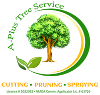 A Plus Tree Service