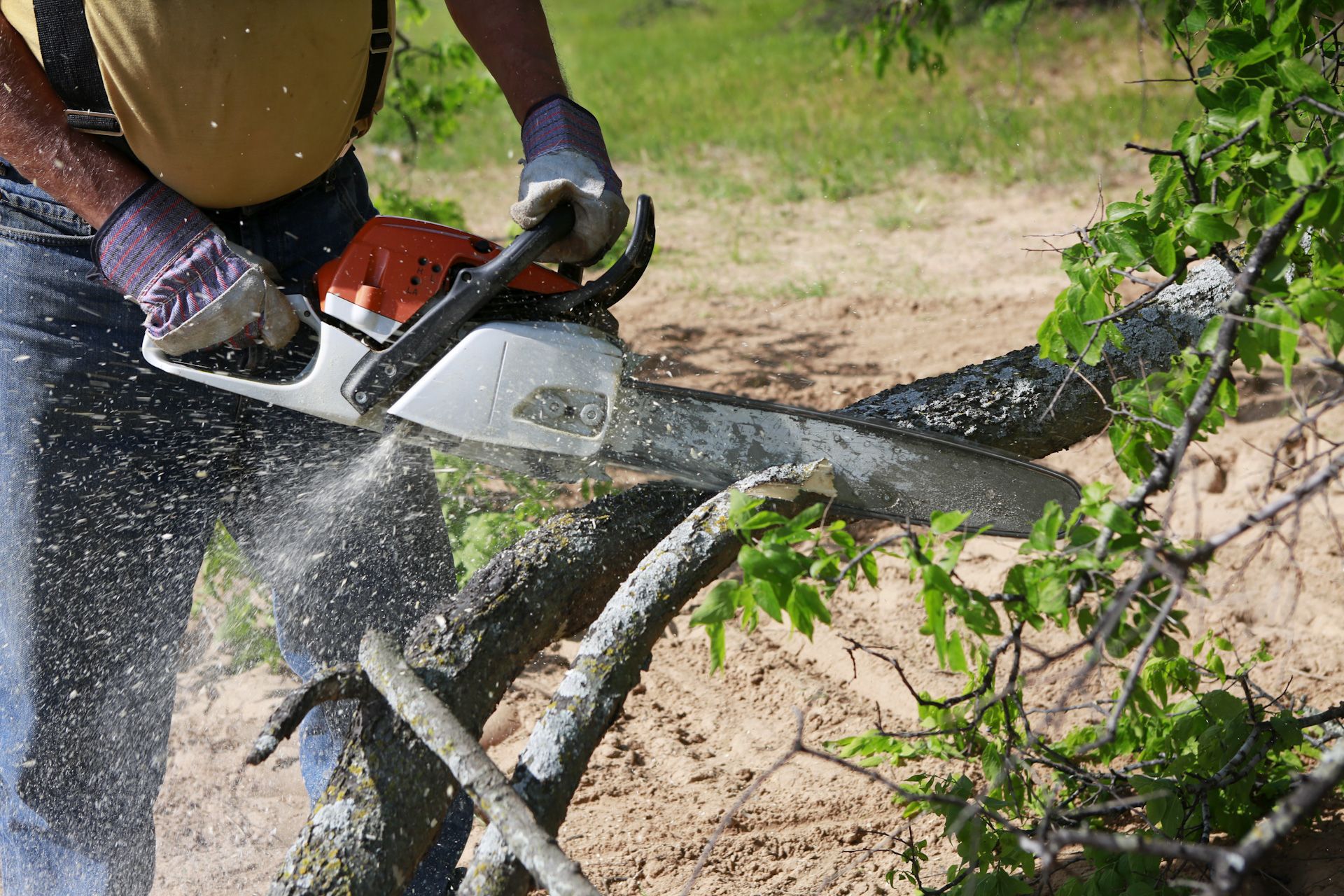 A man is cutting a tree branch with a chainsaw.