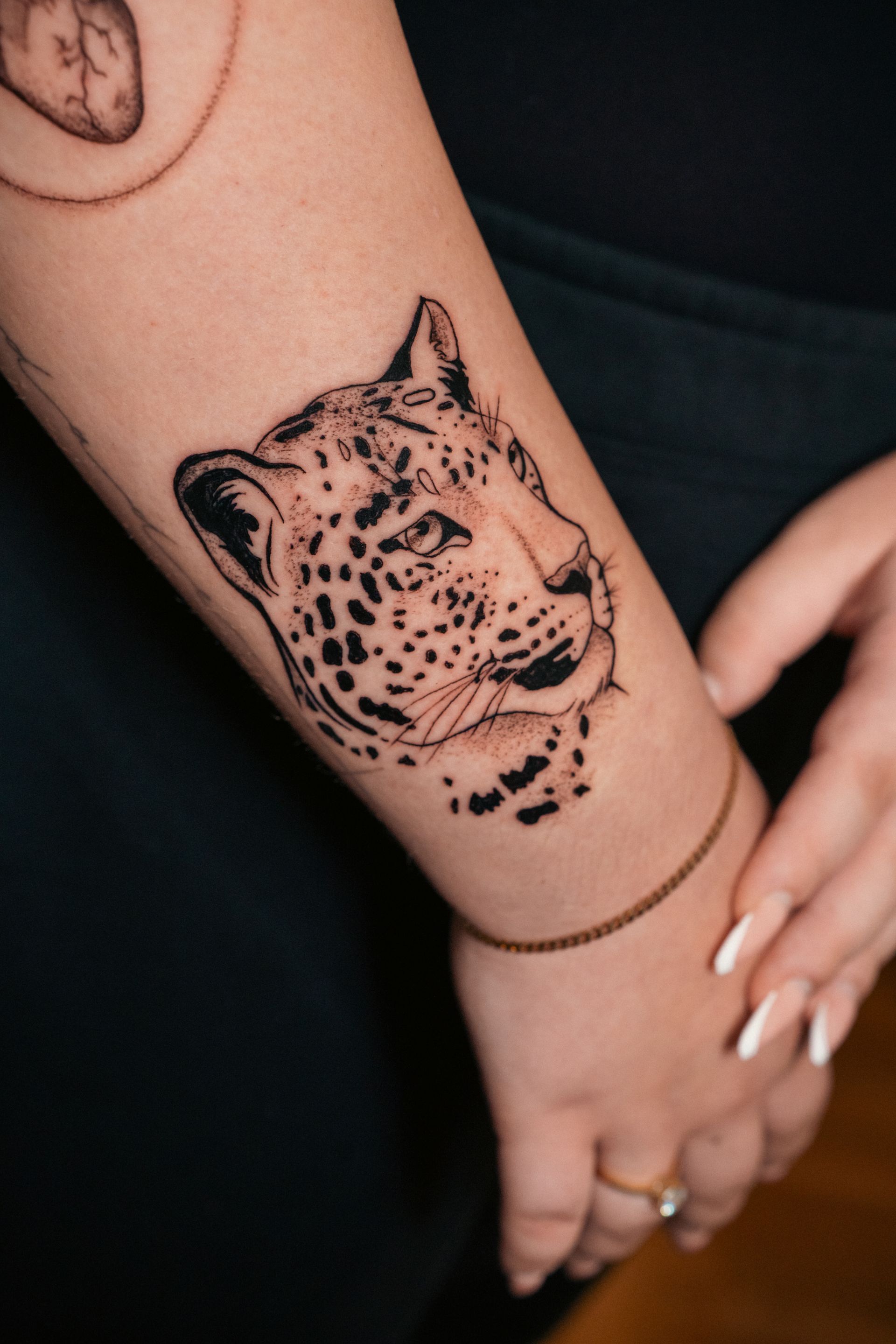 Fine Line tiger, für di Liebe von tier 