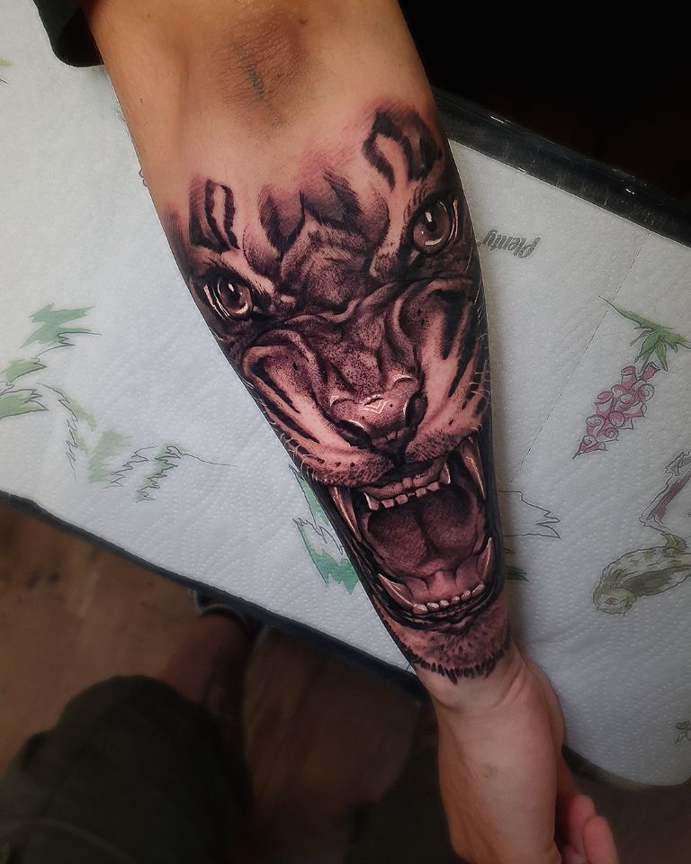 Tiger Portrait  in Realistisch