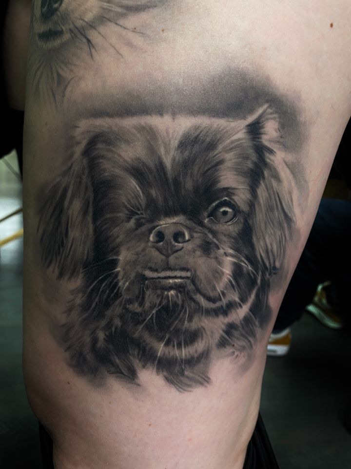 Hund Tattoo in Realistisch