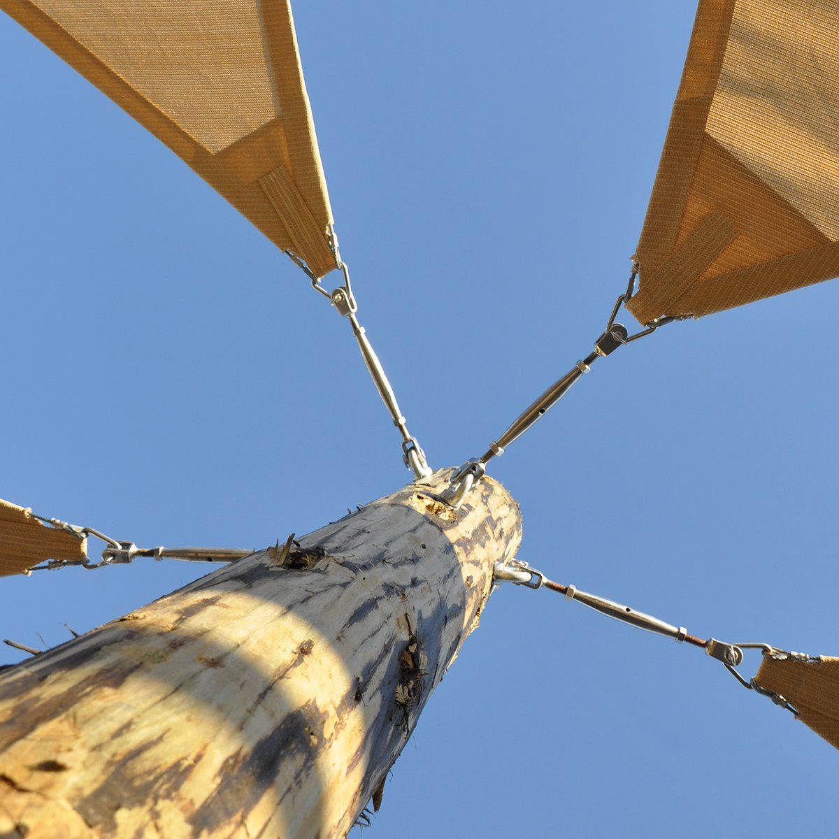 Peterborough Garden Park, designed by LSH Architects