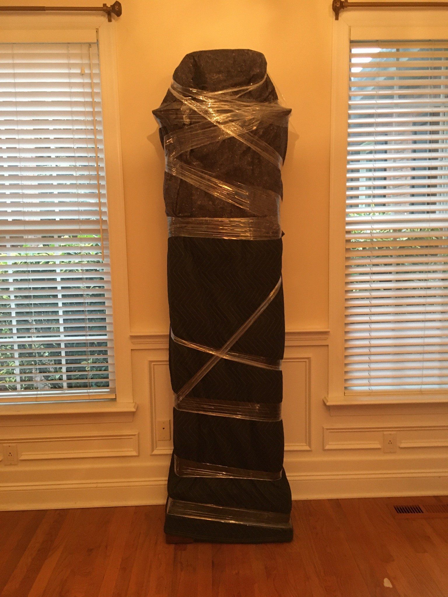 A statue is wrapped in plastic in a living room