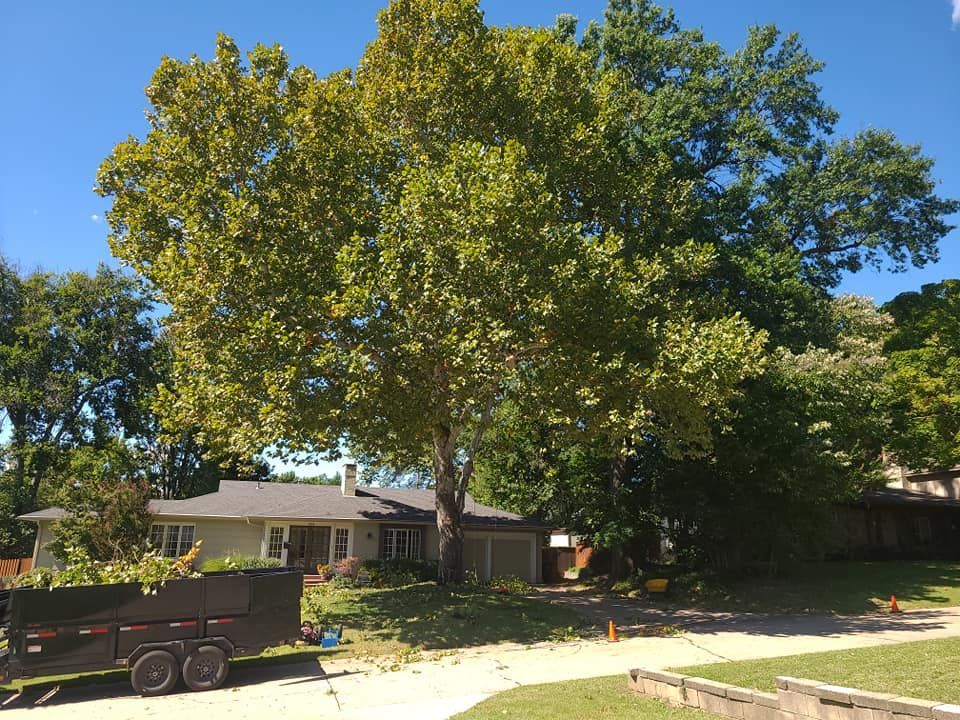 A trailer is parked in front of a house with a large tree in the background.