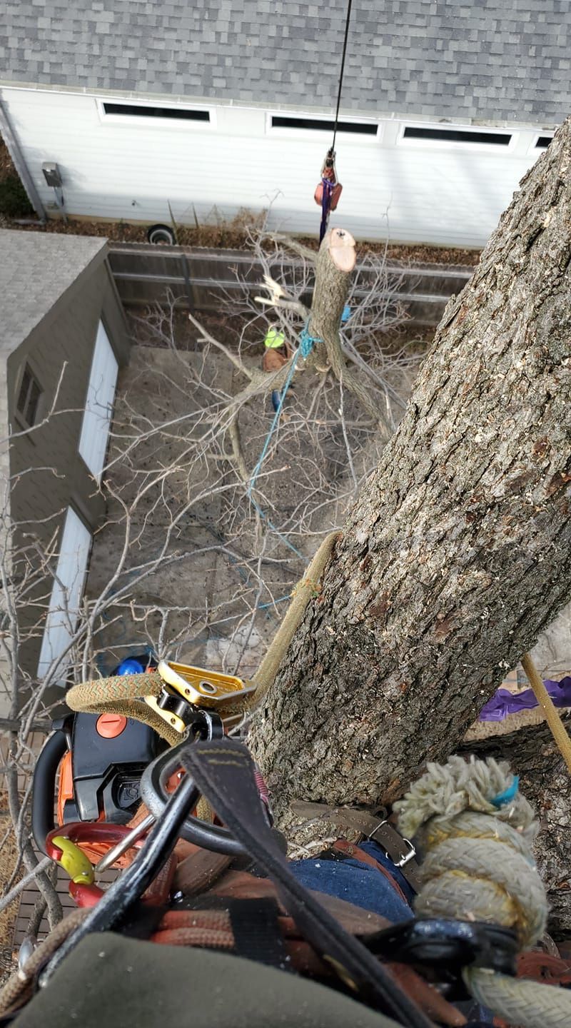 A person is cutting a tree with a chainsaw in front of a garage.