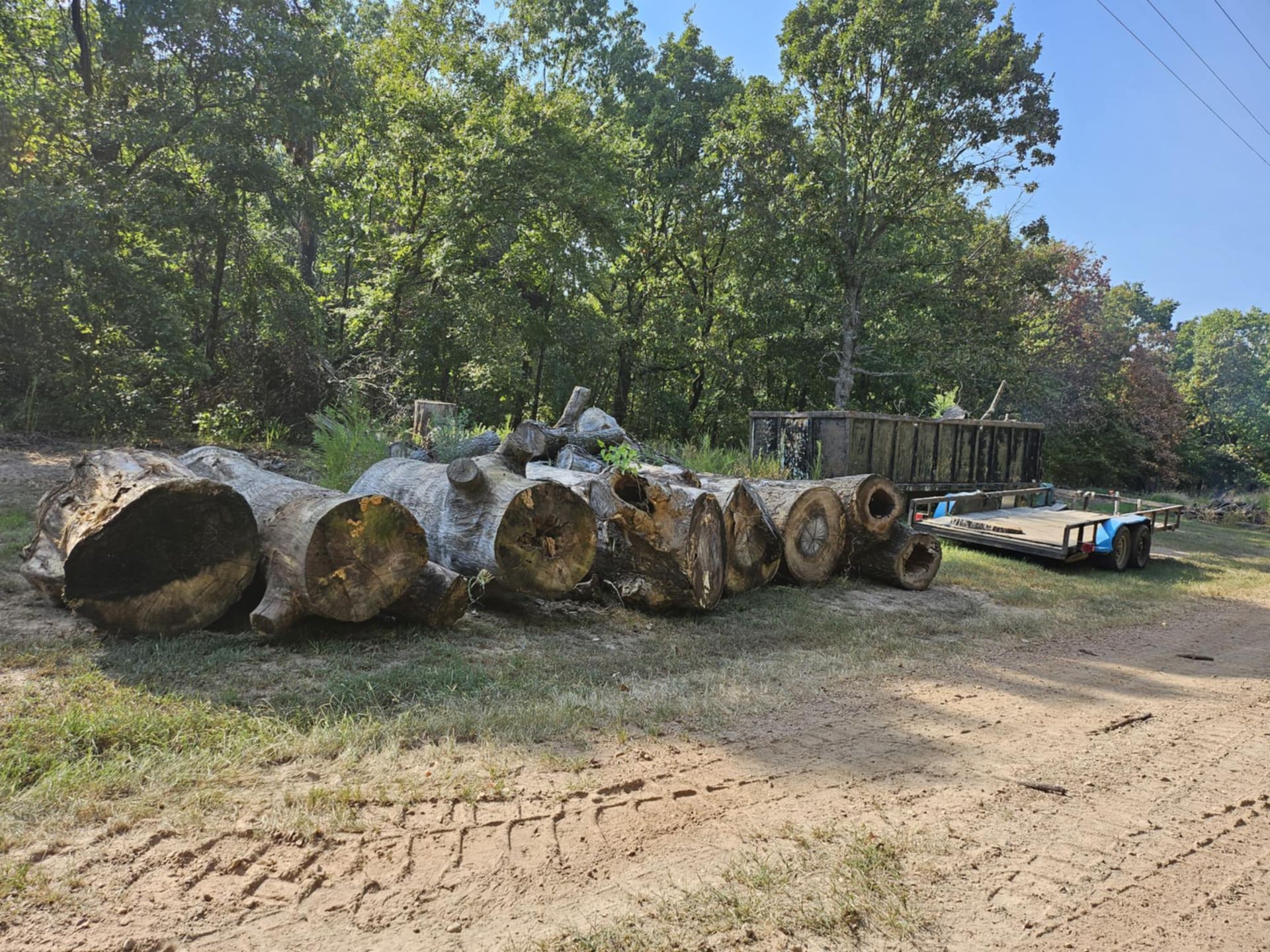 An aerial view of a tree being cut down in front of a house.