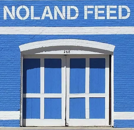 Blue building with white trim; "NOLAND FEED" sign above double doors.