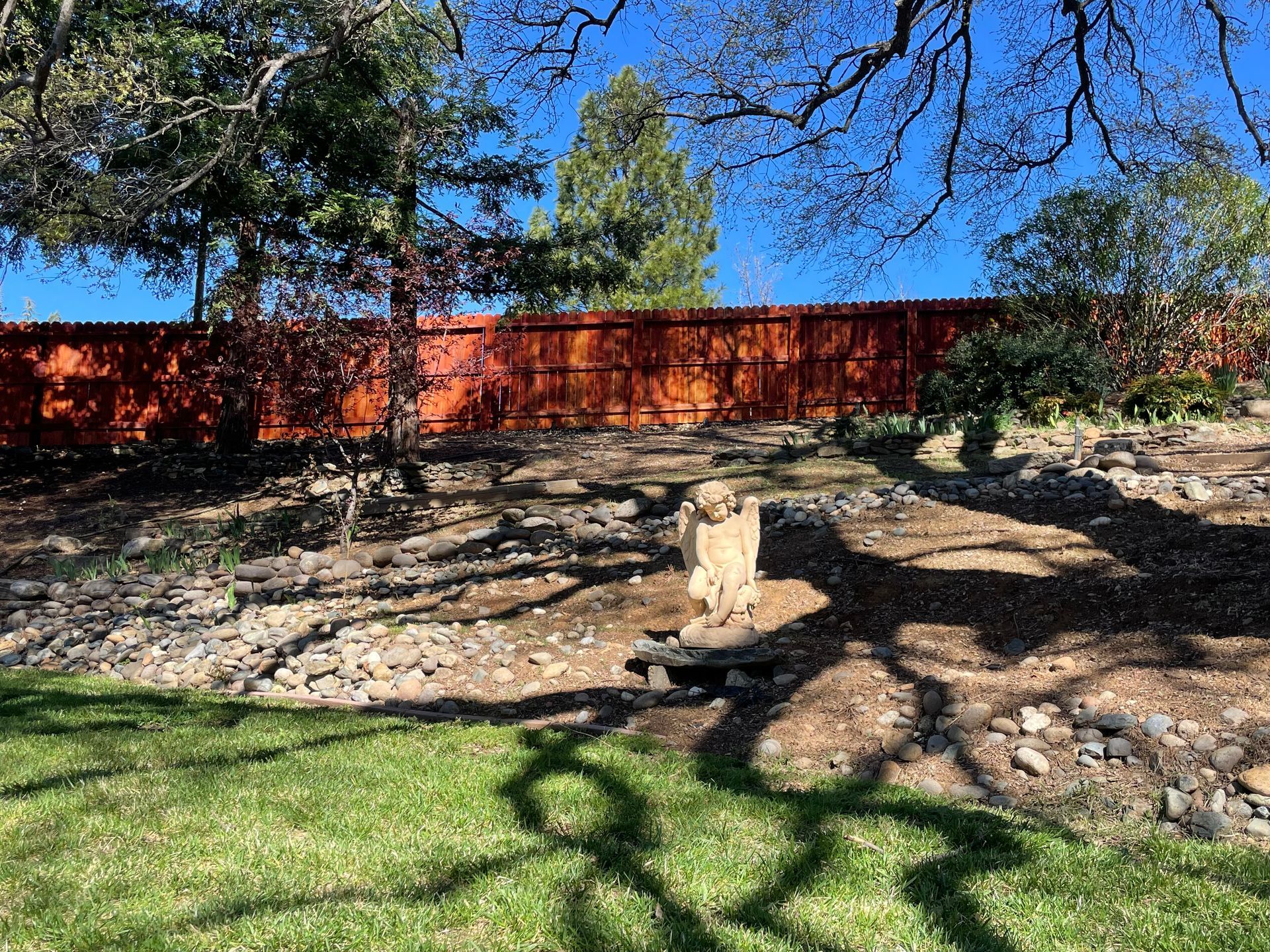 after picture of wood fence restoration and staining of residential backyard  in sacramento