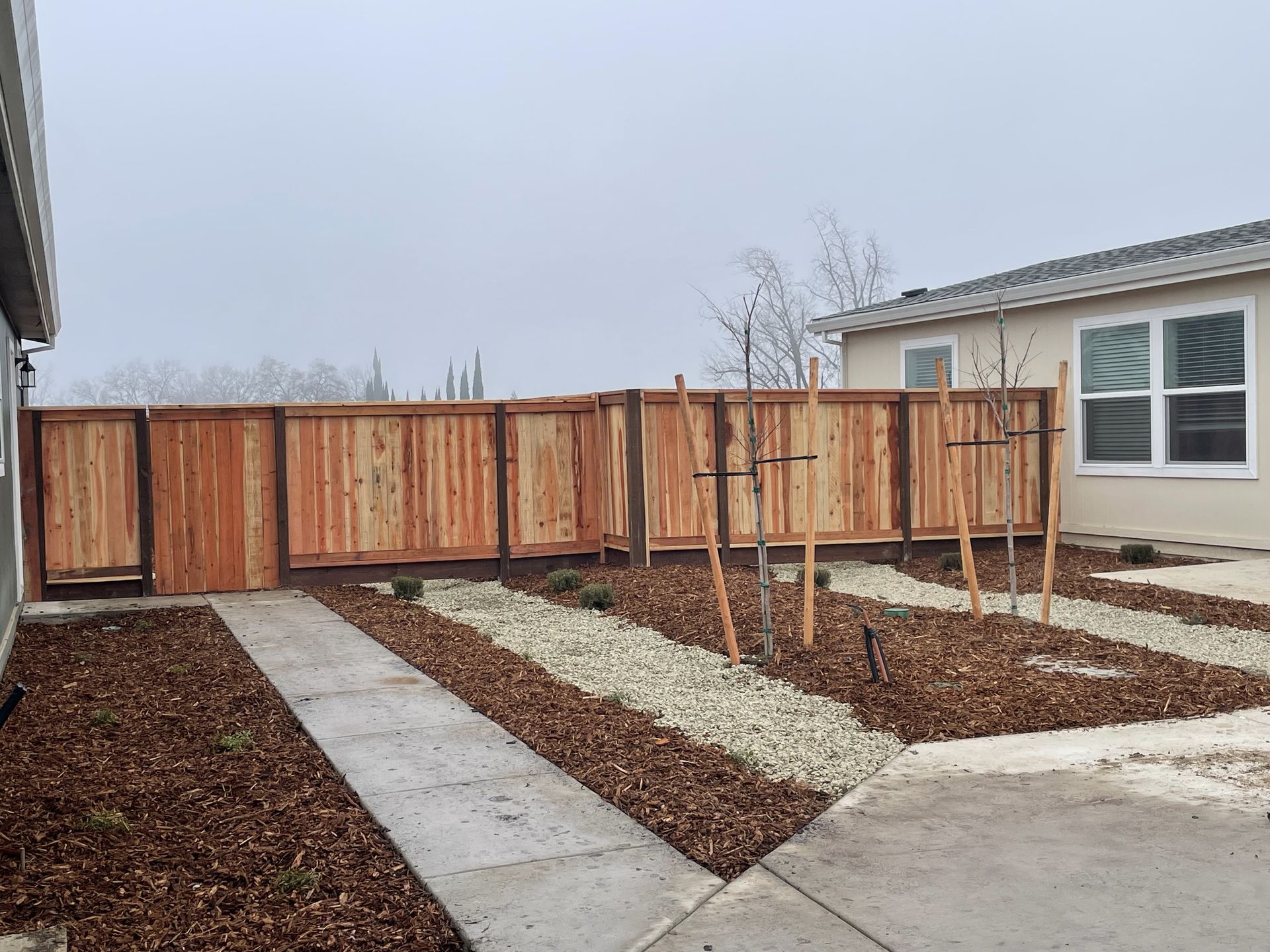 Wooden fence in backyard, pathway, gravel, mulch, young trees, cloudy sky.