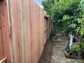 Narrow dirt path beside a tall wooden fence and lush garden greenery