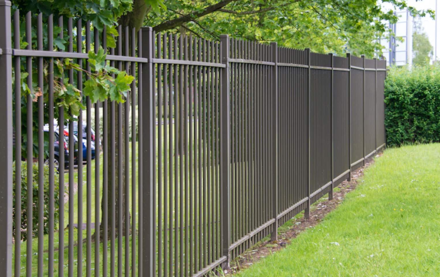 Brown metal fence in a grassy yard, with a tree and foliage behind it.
