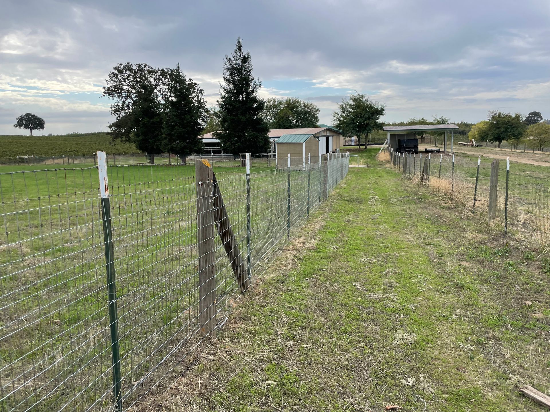 A rural scene: A metal fence lines a grassy path toward a house and outbuildings under a cloudy sky.