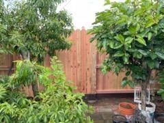 Backyard with wooden fence, lush green trees, and potted plants on a patio