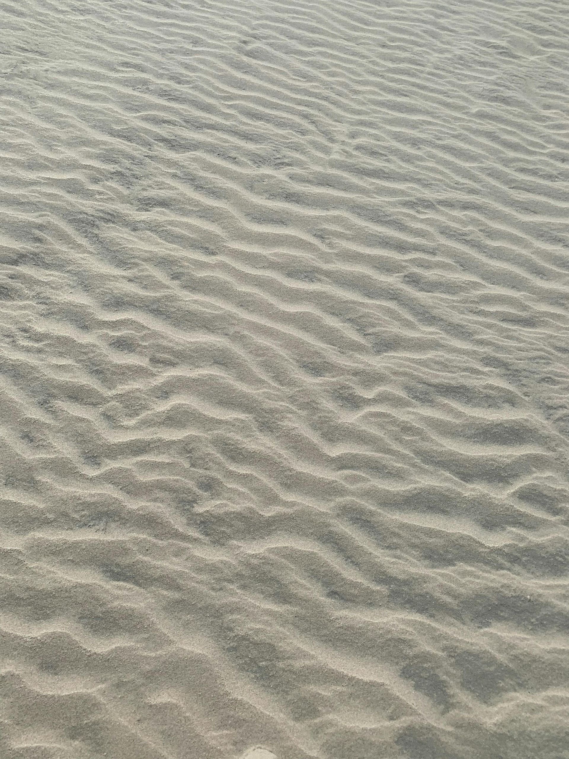sand for fencing rooting
