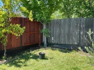 Backyard with a wooden fence, green lawn, leafy trees, and a small black bucket on the grass