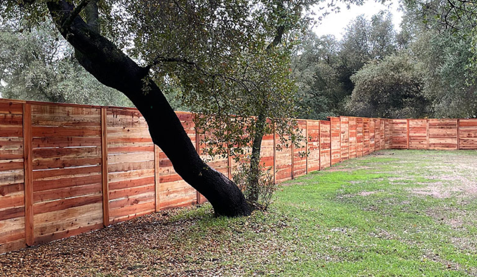 Wooden horizontal slatted fence surrounding a grassy yard and tree.