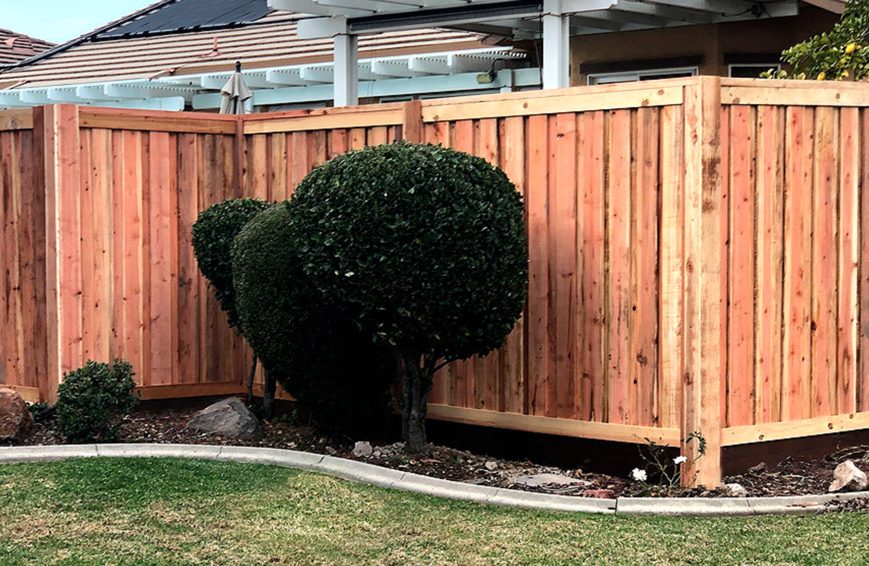 Wooden fence with rounded evergreen bushes in front, green grass.