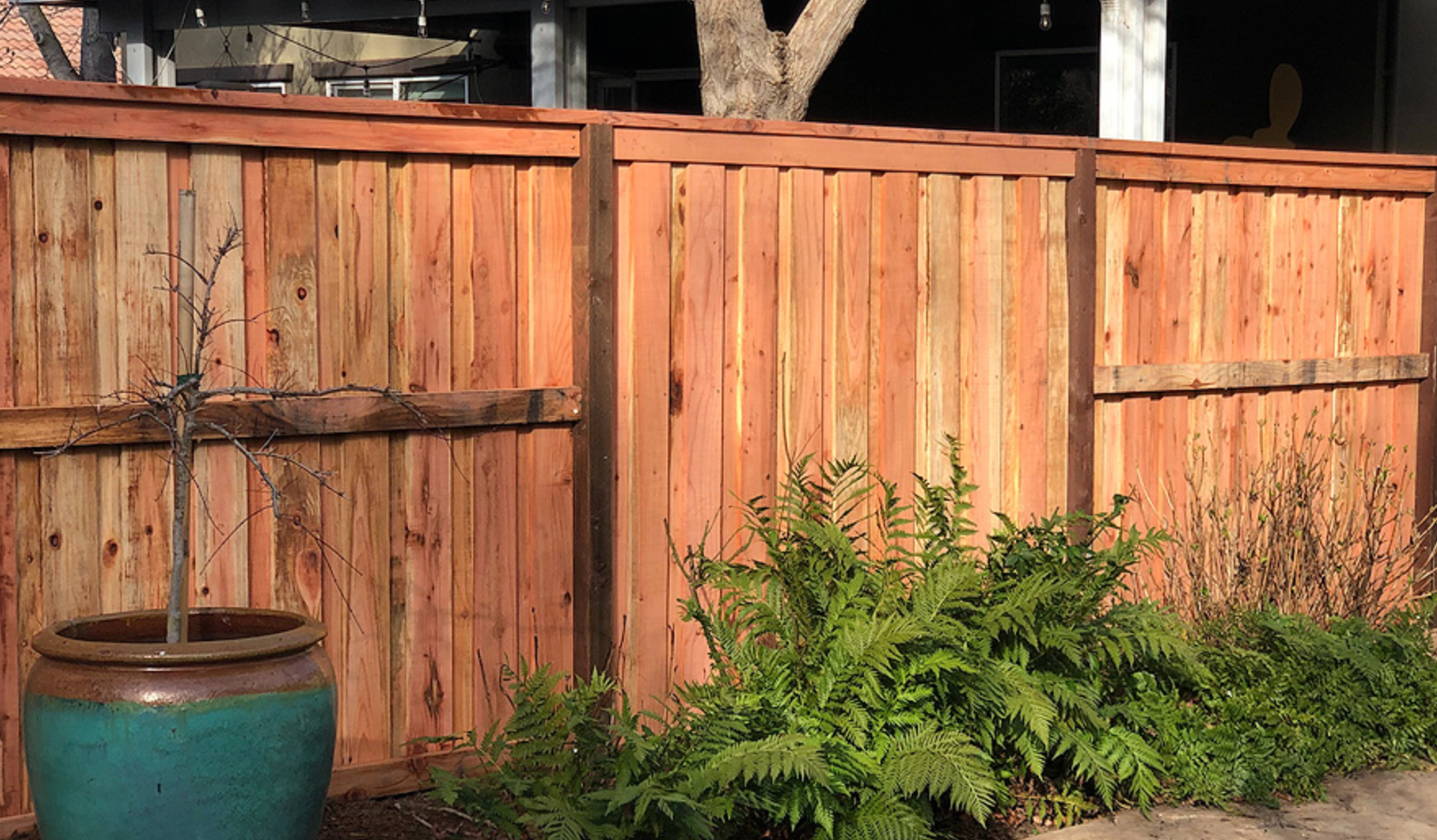 Wooden fence with ferns and a potted plant in front.