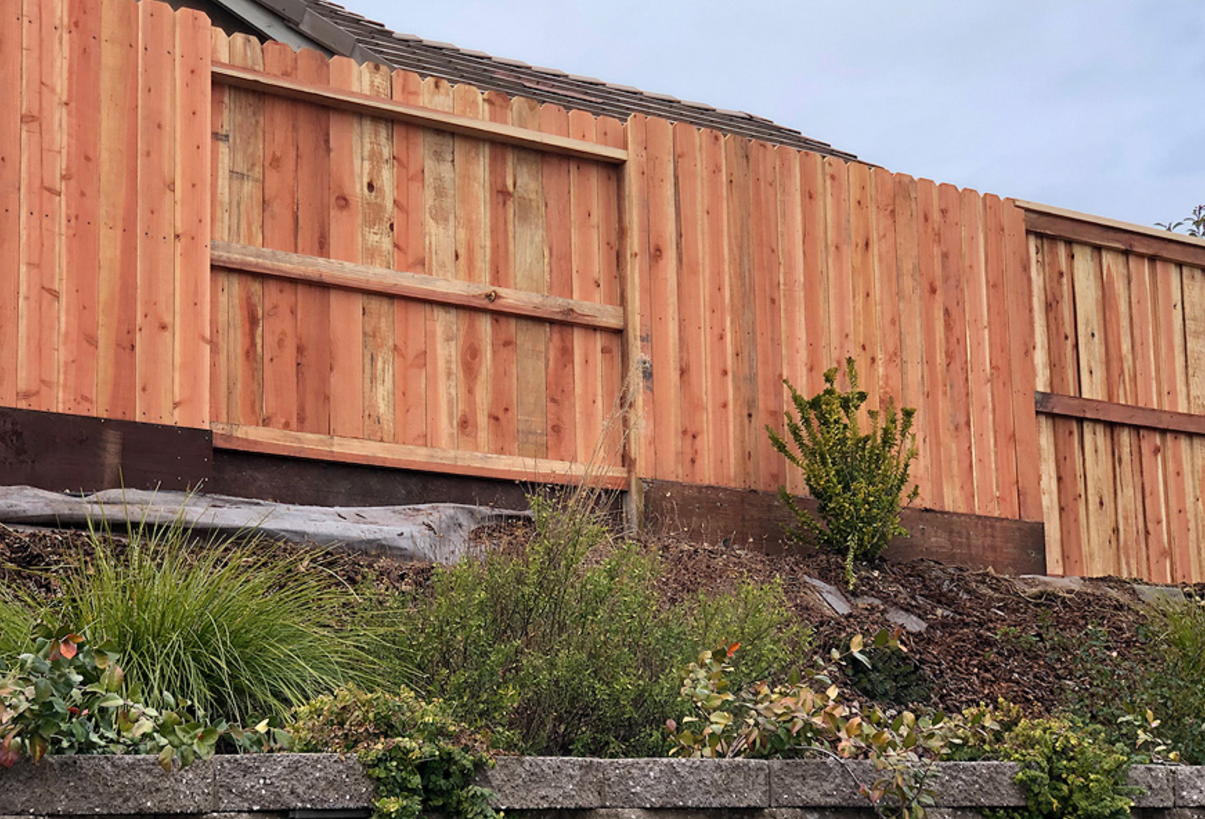 Wooden fence on a slope with plants in front. The fence is made of vertical planks with horizontal supports.