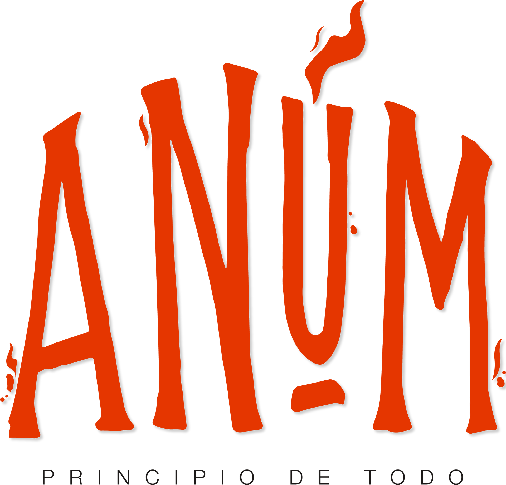 Anum Hostel logo