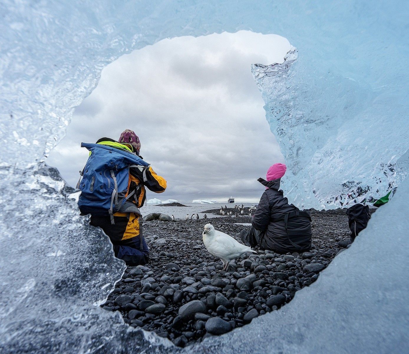 Pessoas perto de um pássaro branco em uma praia de seixos, vistas através de um buraco no gelo. Céu nublado.