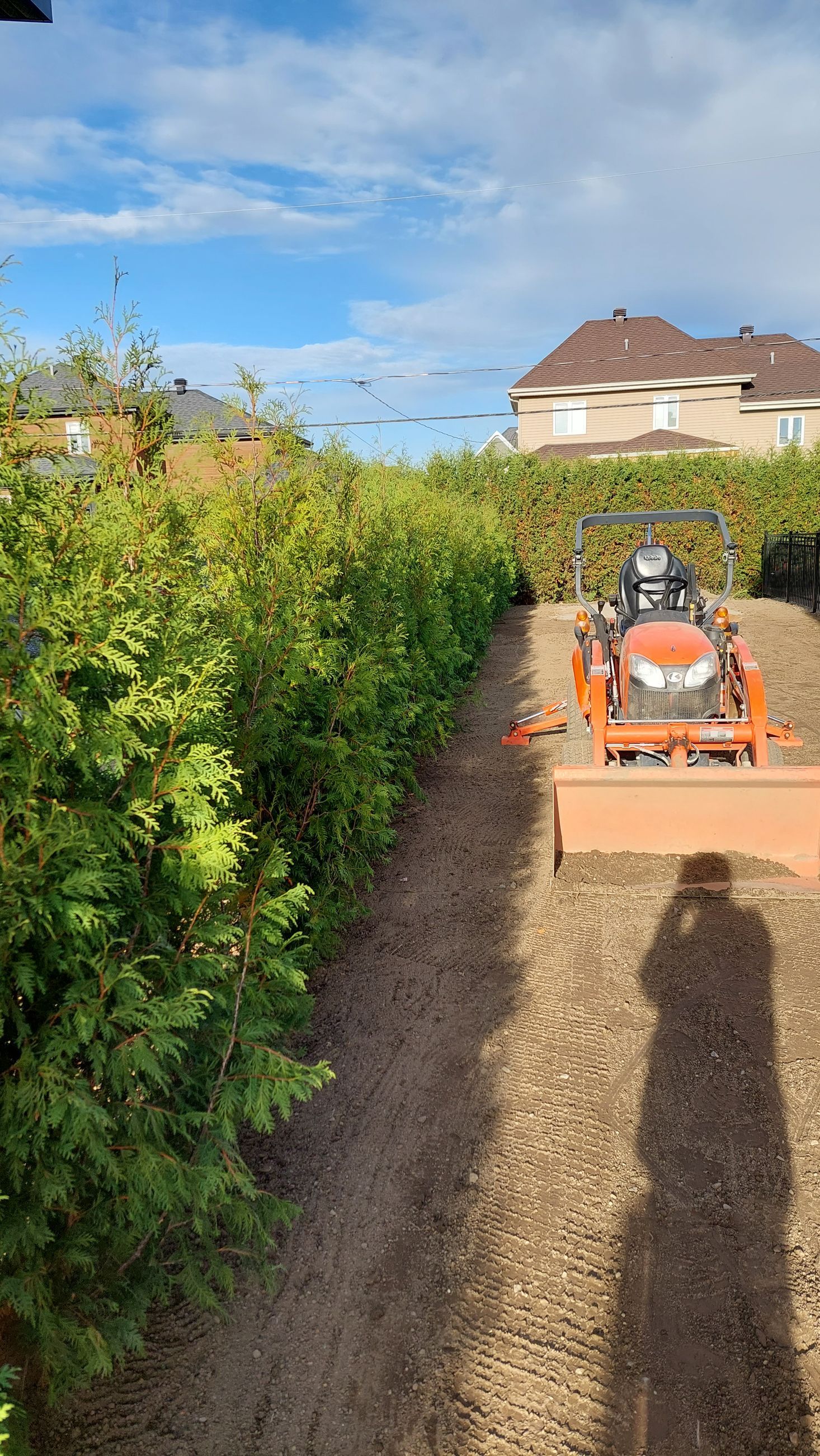 Un tracteur roule sur un chemin de terre à côté d'une haie.