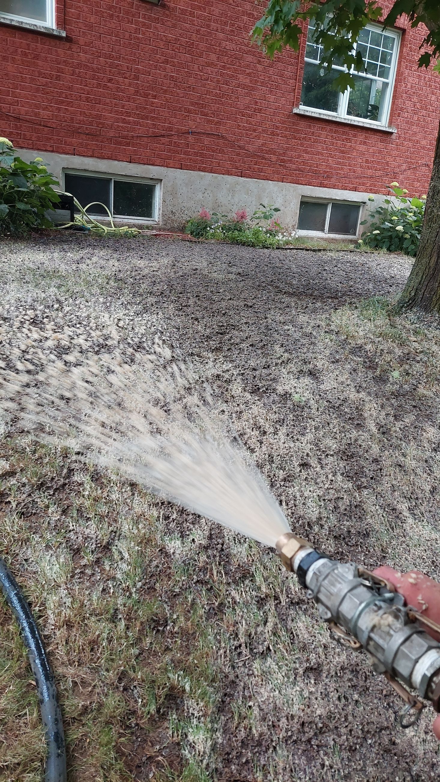 Une personne pulvérise de l'eau avec un tuyau dans une cour.