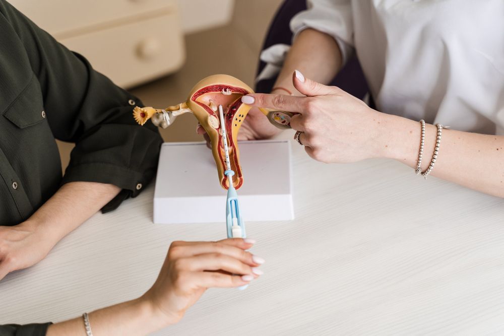 Two women are sitting at a table looking at a model of the female reproductive system.