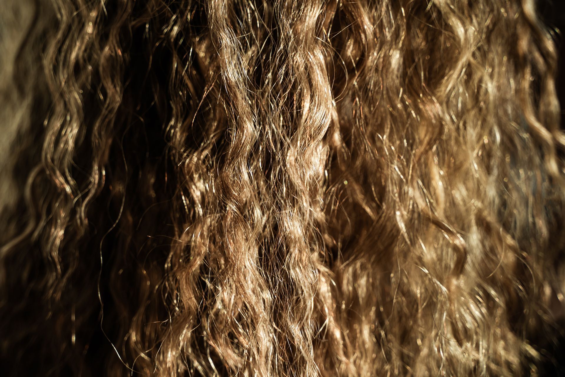 A close up of a woman 's curly hair