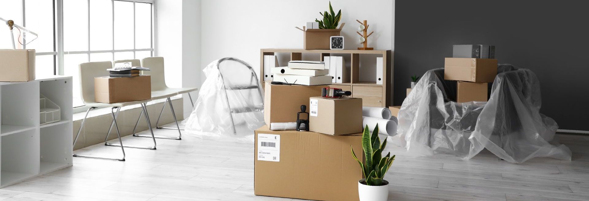 An office filled with lots of cardboard boxes and a plant.