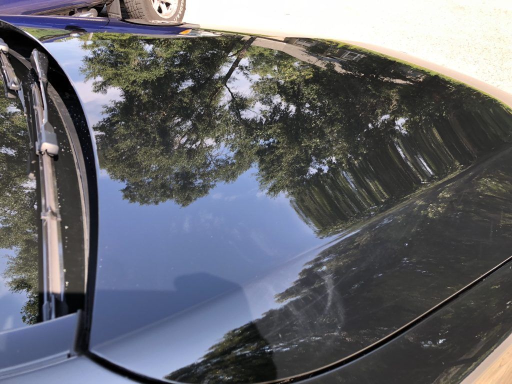 A close up of a car hood with trees reflected in it