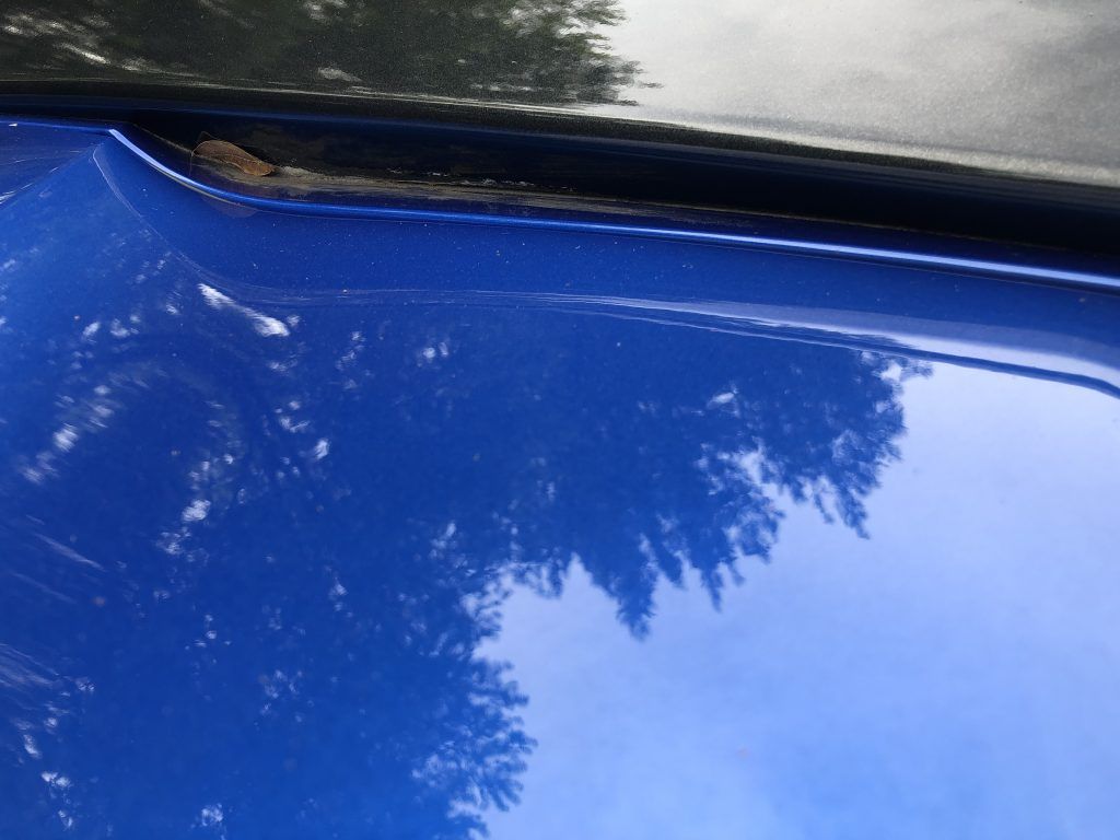 A close up of a blue car hood with trees reflected in it