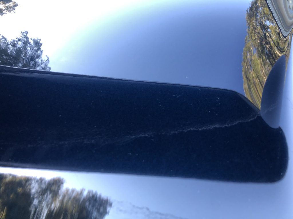 A close up of the hood of a car with trees in the background.