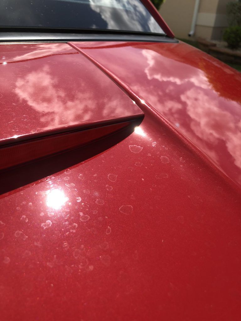 A close up of the hood of a red car
