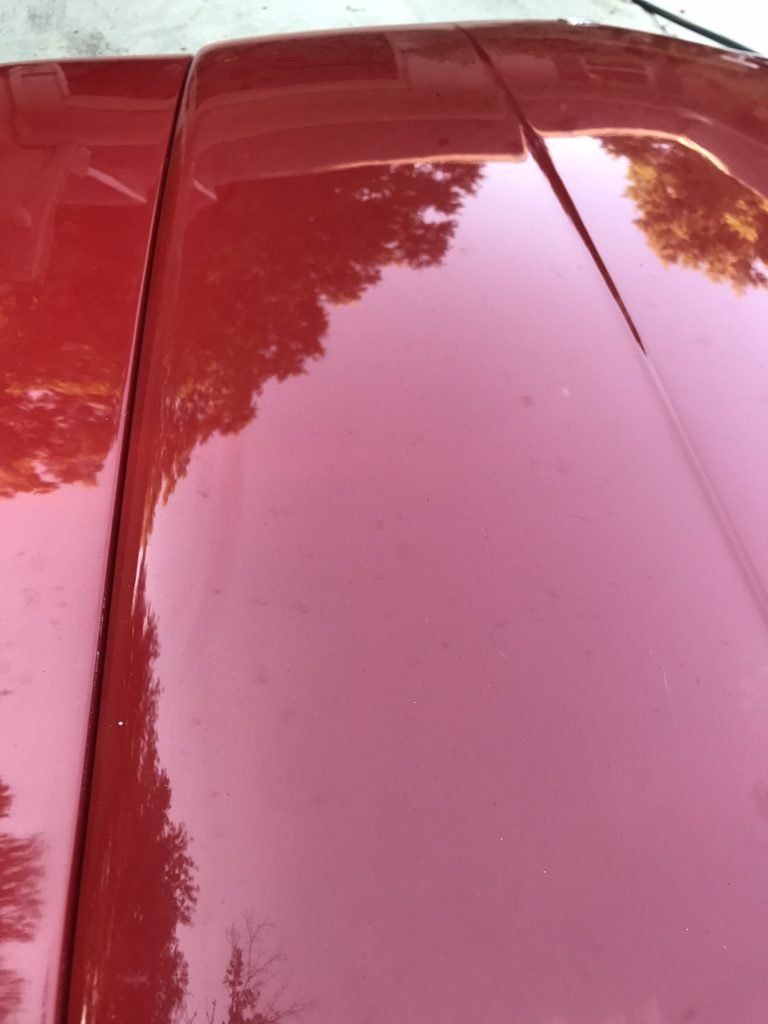 A close up of a red car hood with trees reflected in it