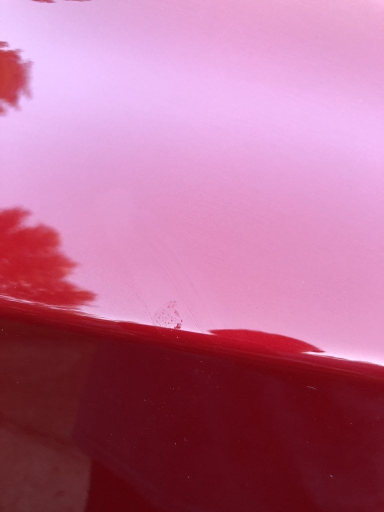 A close up of a red car hood with a tree shadow on it.