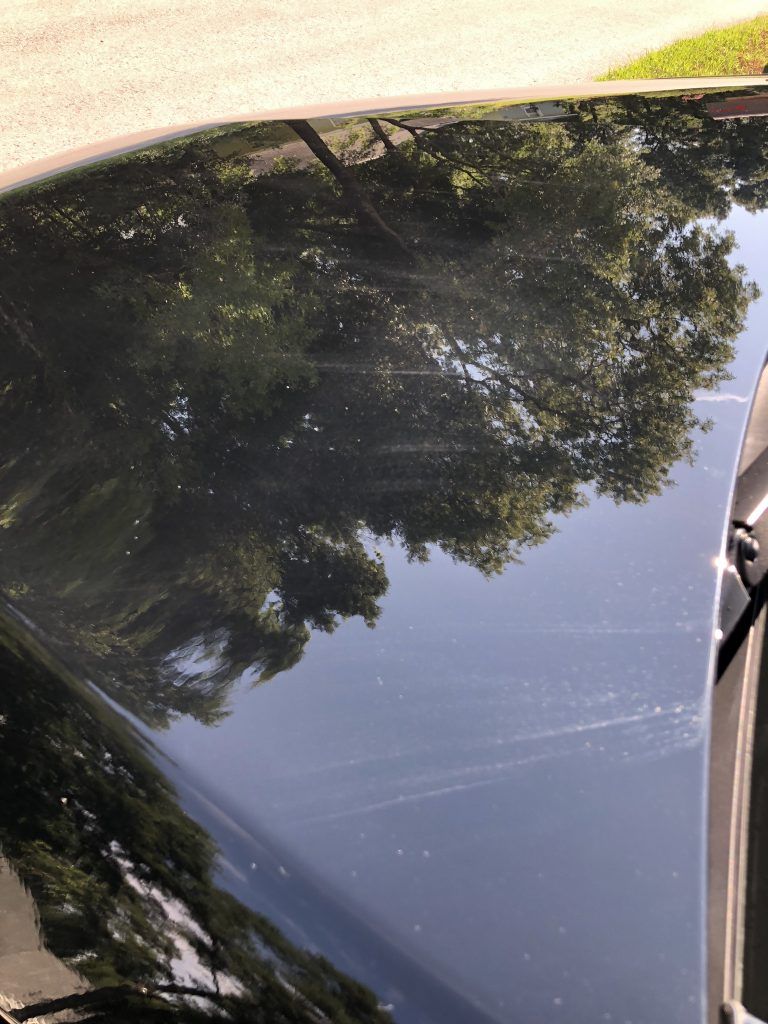 A black car with a reflection of trees in the windshield.