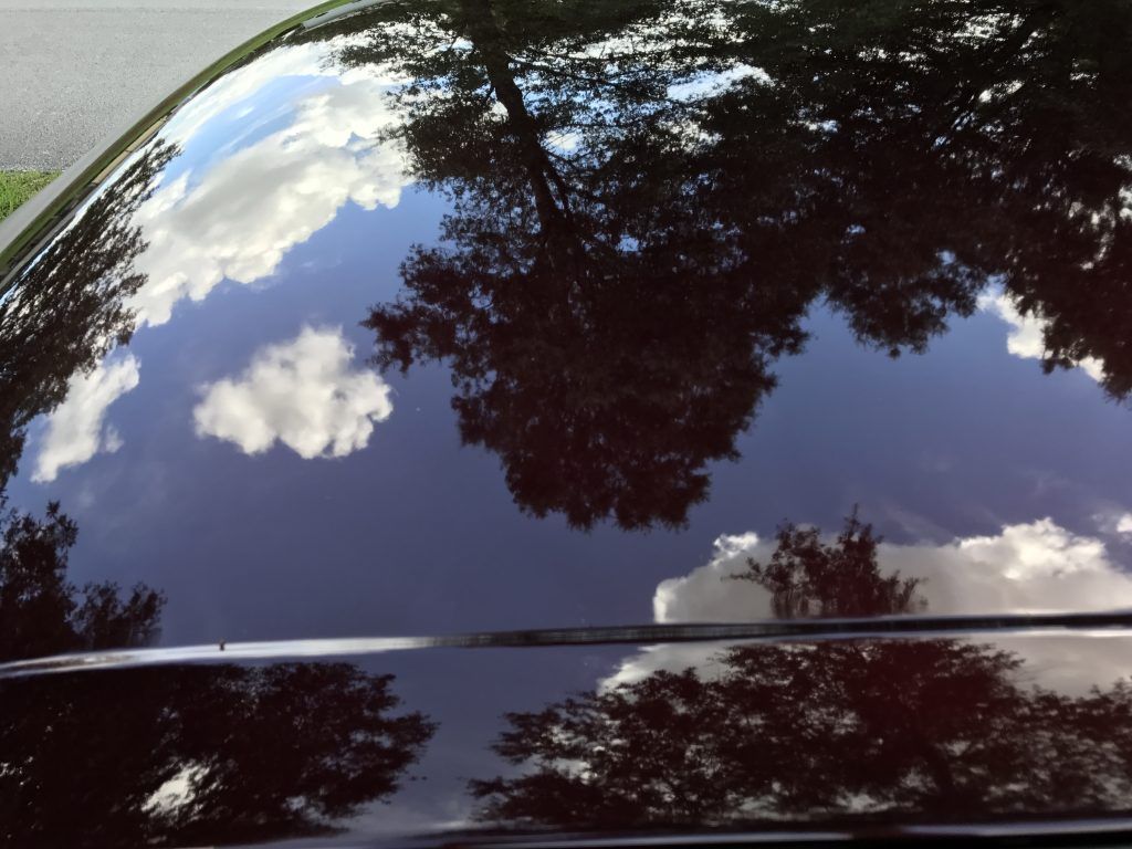 A reflection of trees and clouds on the roof of a car