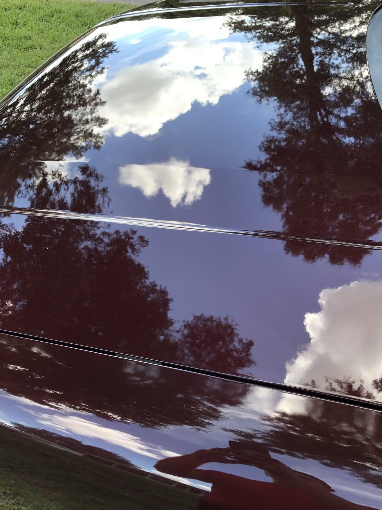 A close up of a car hood with trees reflected in it