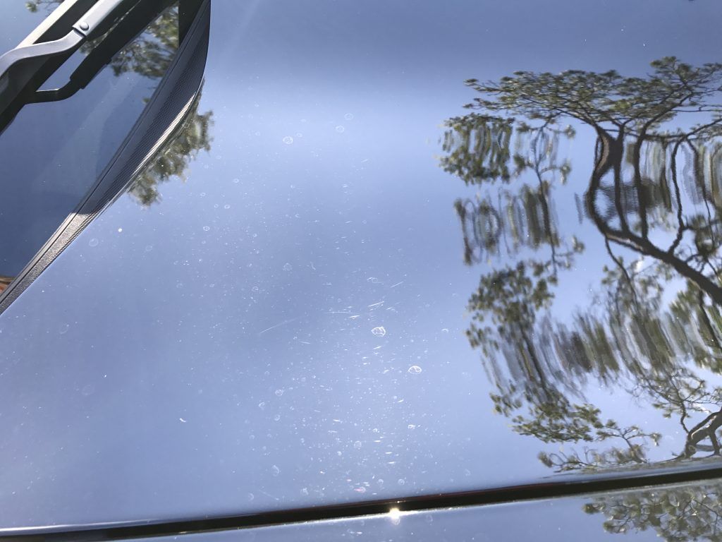 A close up of a car hood with a reflection of trees