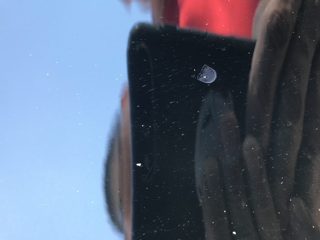 A close up of a person holding a cell phone in their hand.