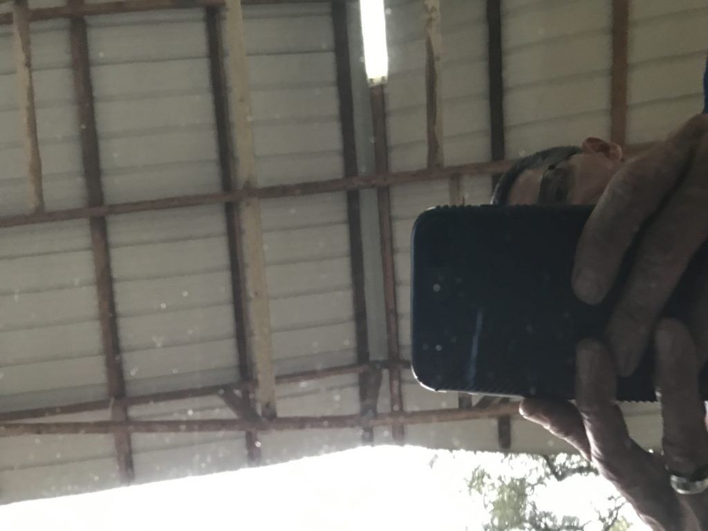 A person is taking a picture of themselves with a cell phone.