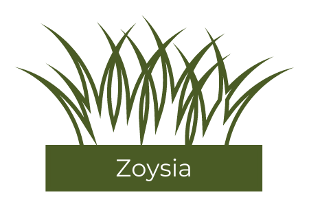 A stylized green illustration of a patch of Zoysia grass with the word 
