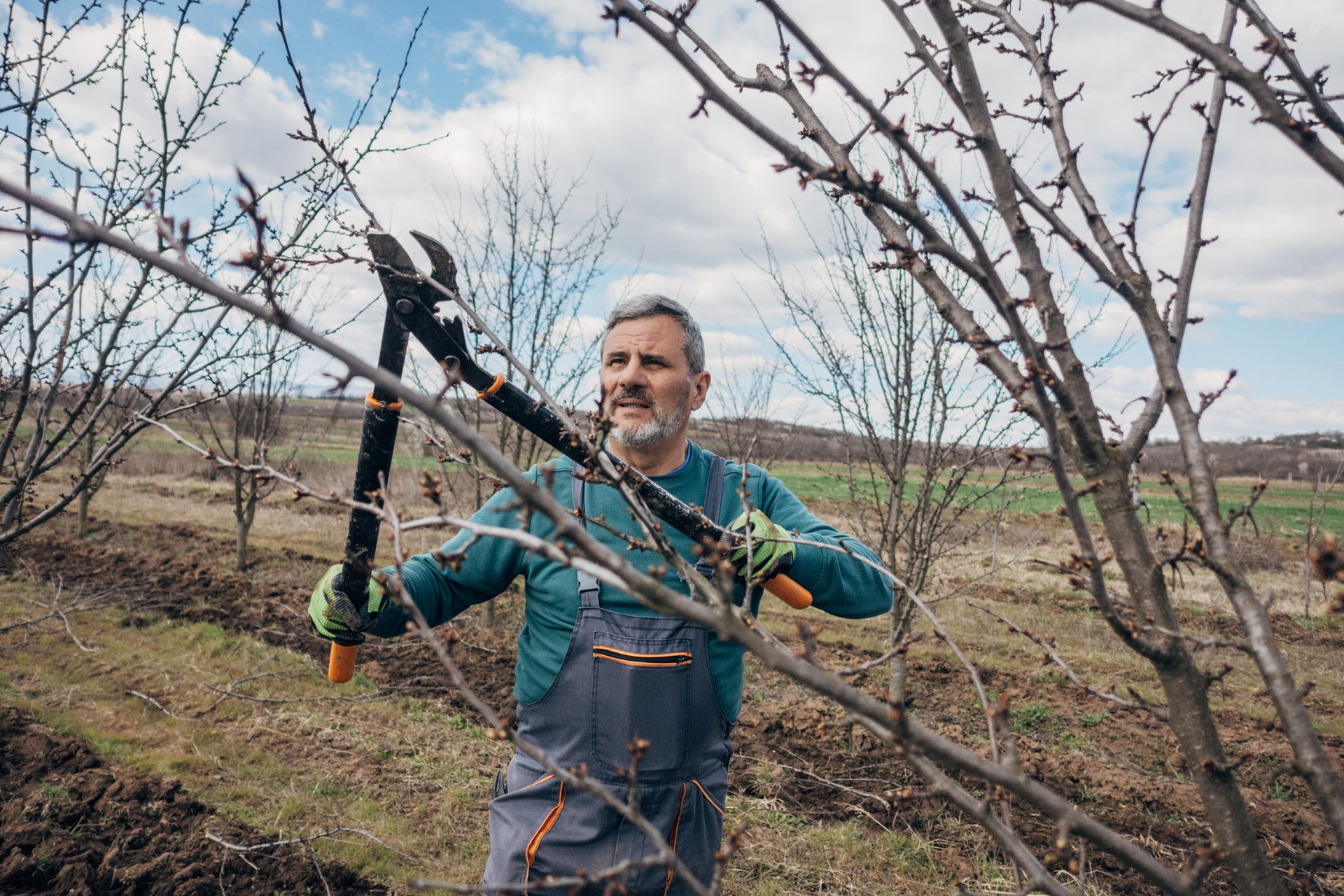 A man is cutting a tree branch with a pair of scissors.