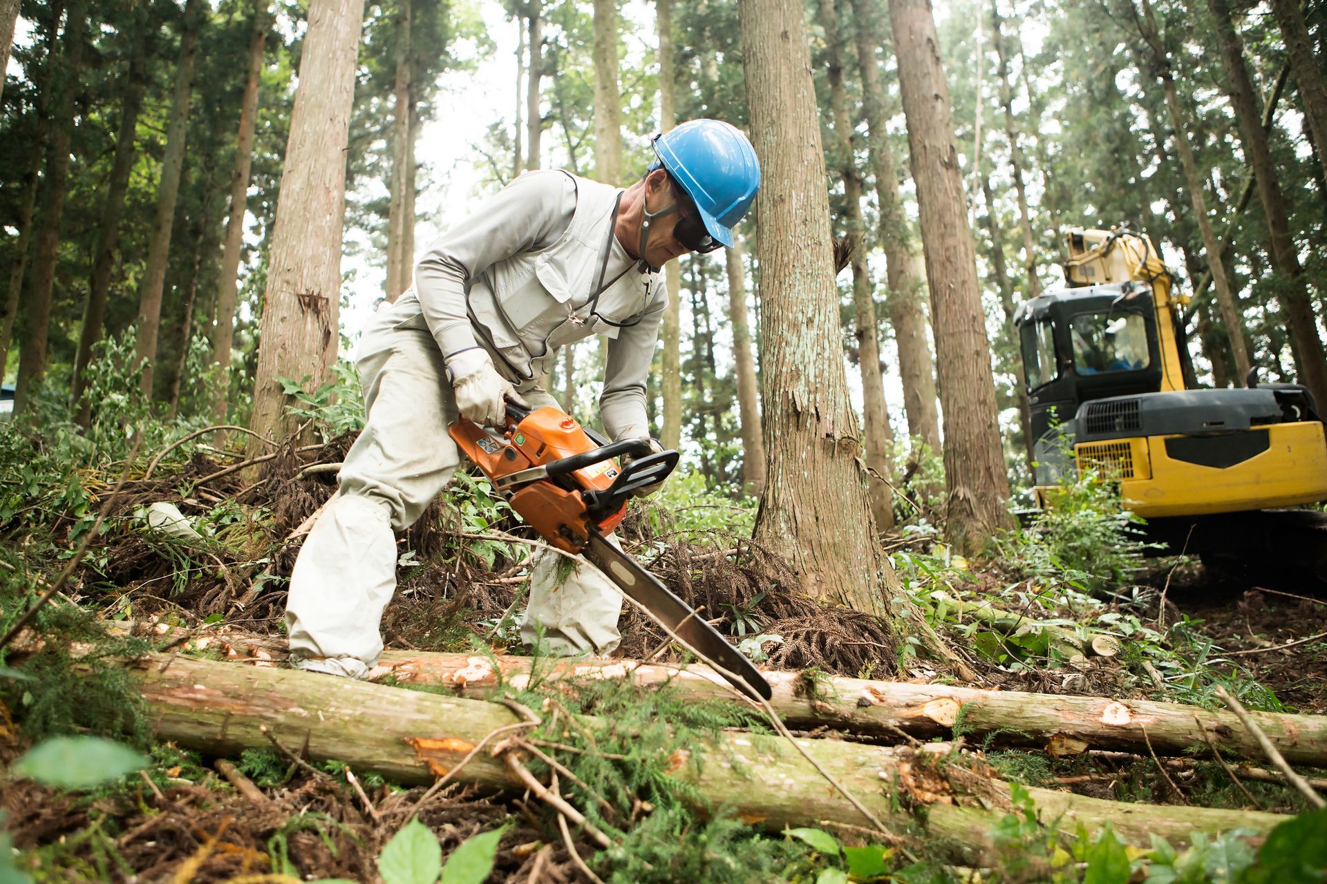 A man is cutting a log with a chainsaw in the woods.