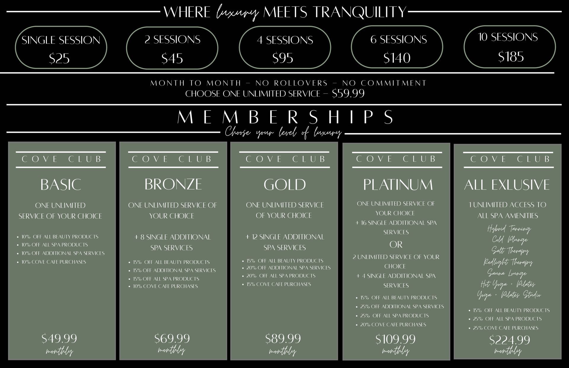 Membership options graphic with pricing and details for Basic, Bronze, Gold, Platinum, and Millennium levels.