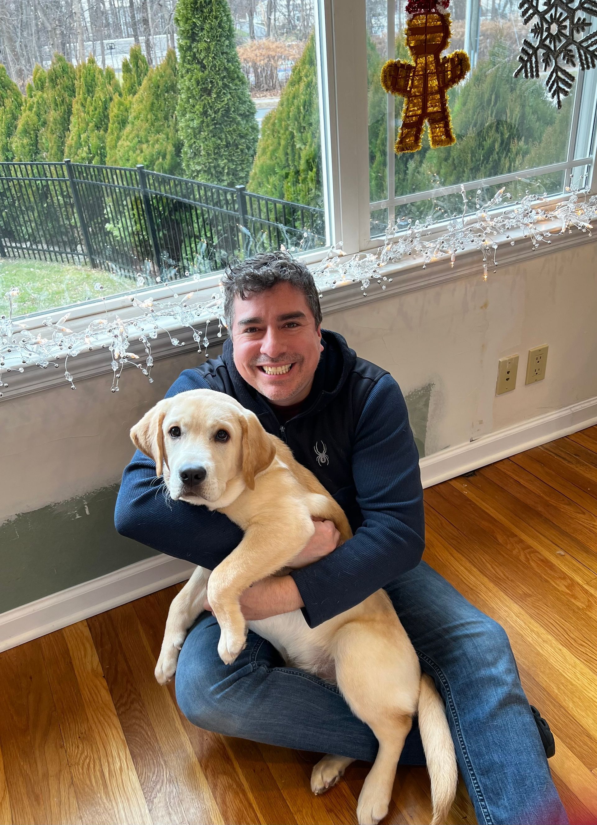 Man smiles, holding yellow Labrador puppy indoors near a window with Christmas lights and a gingerbread man decoration.