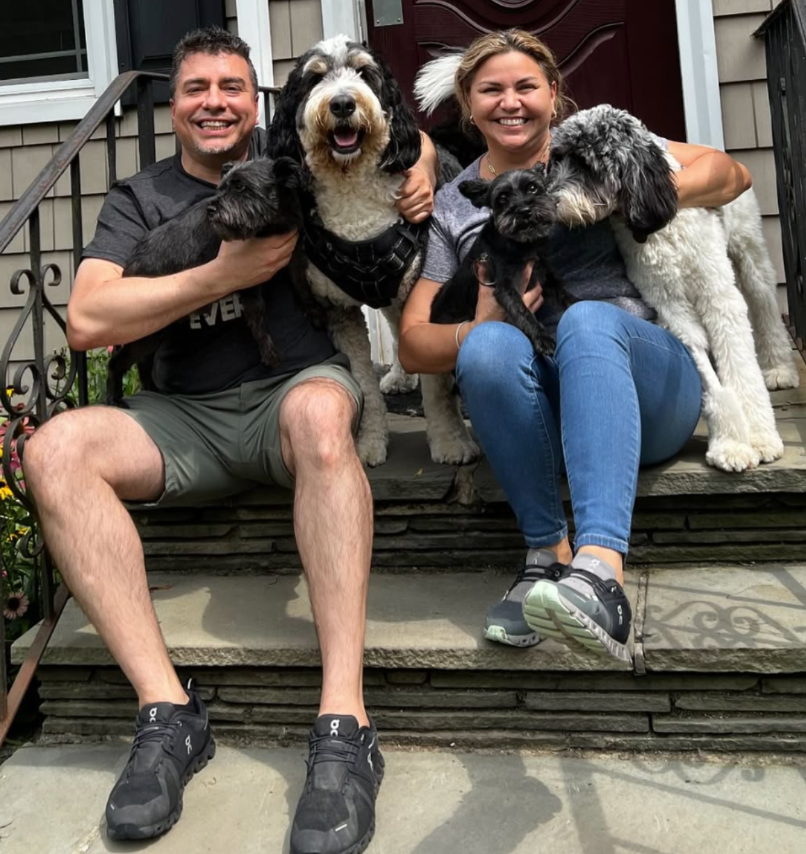 Two golden retrievers, one resting on a yellow dog bed, the other seated in the background of a dog-friendly room.