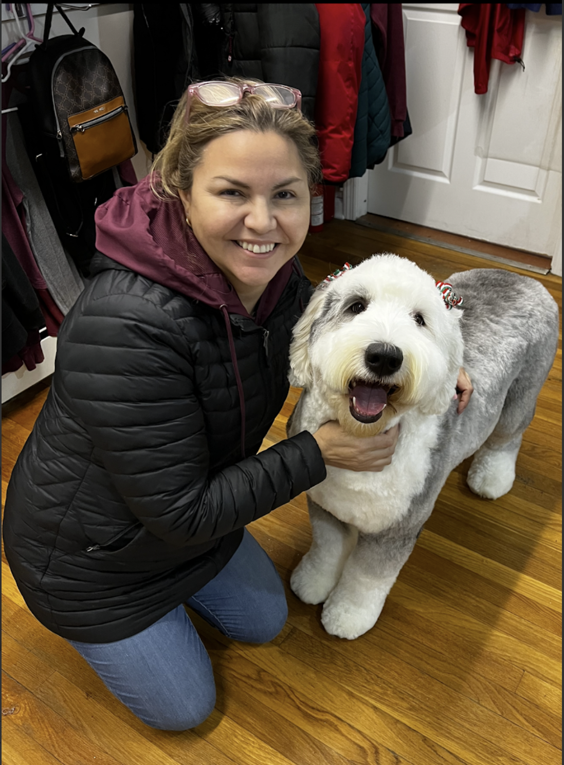 Woman kneels with happy, groomed Old English Sheepdog, smiles. Wood floor, jackets in background.